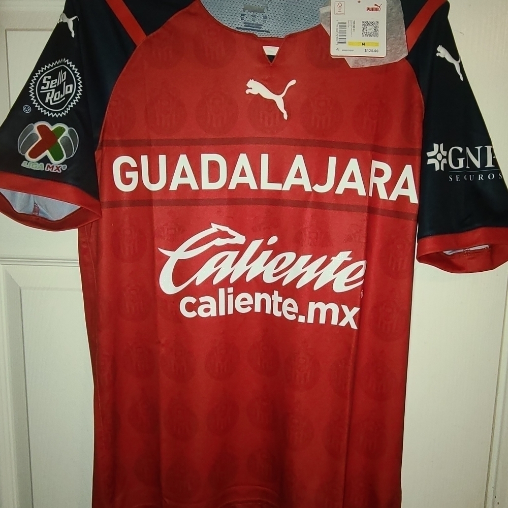 Puma Chivas Authentic Player Version 3rd Jersey 2022